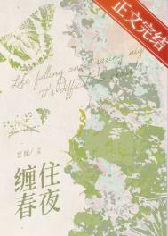 缠住春夜芒厘txt