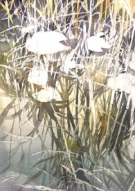 被风景治愈的句子