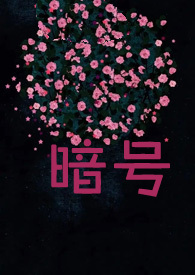 暗号双闪什么意思