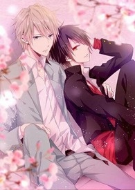 花恋蝶妃三件套好用不